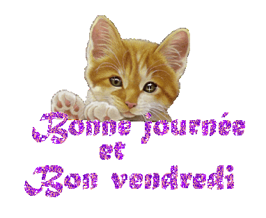 Gif animé Bon vendredi chat